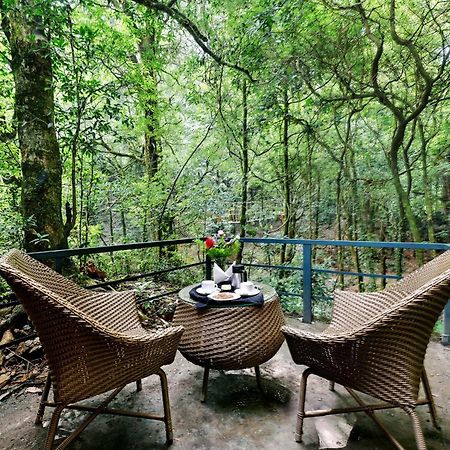 Ayar Jungle Resort Nainital Zewnętrze zdjęcie