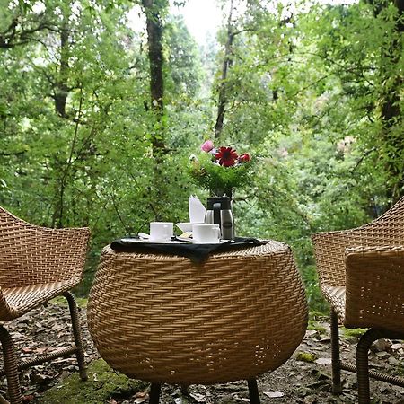 Ayar Jungle Resort Nainital Zewnętrze zdjęcie