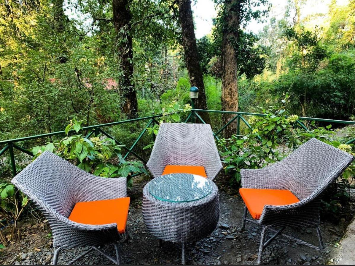 Ayar Jungle Resort Nainital Zewnętrze zdjęcie