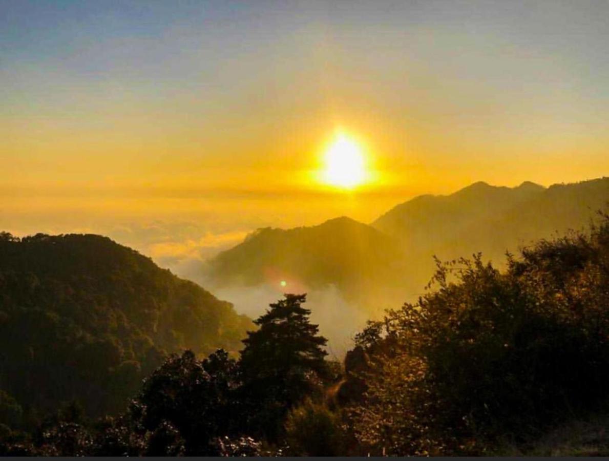 Ayar Jungle Resort Nainital Zewnętrze zdjęcie