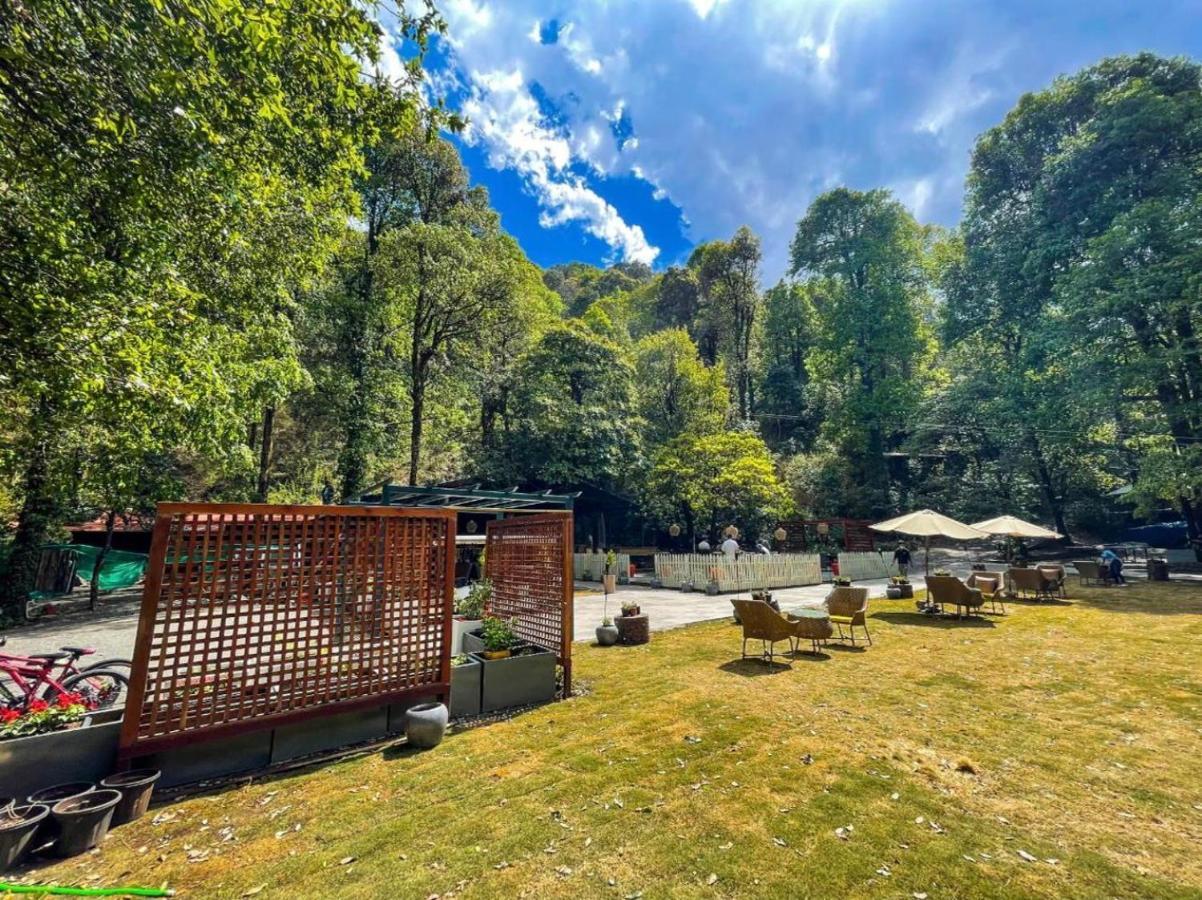Ayar Jungle Resort Nainital Zewnętrze zdjęcie