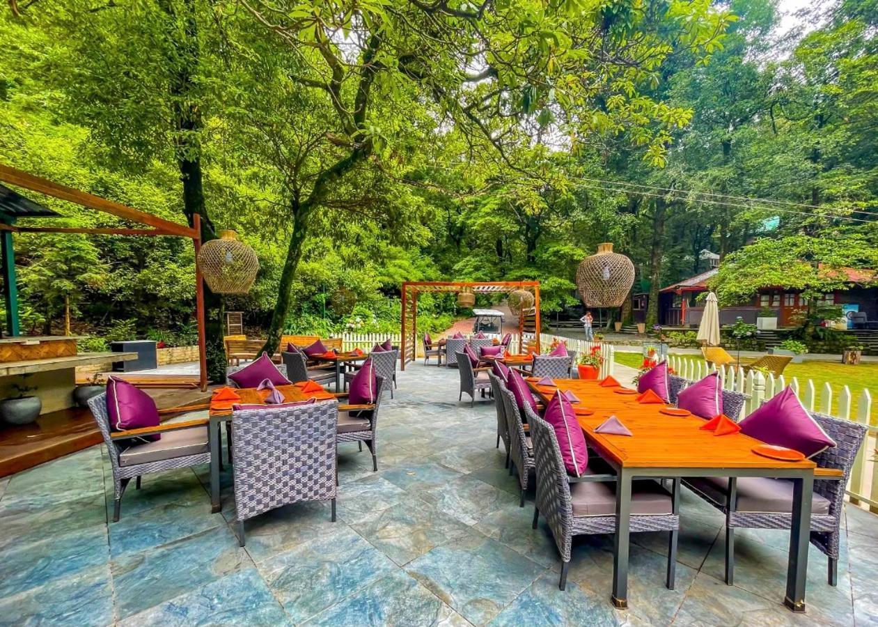 Ayar Jungle Resort Nainital Zewnętrze zdjęcie