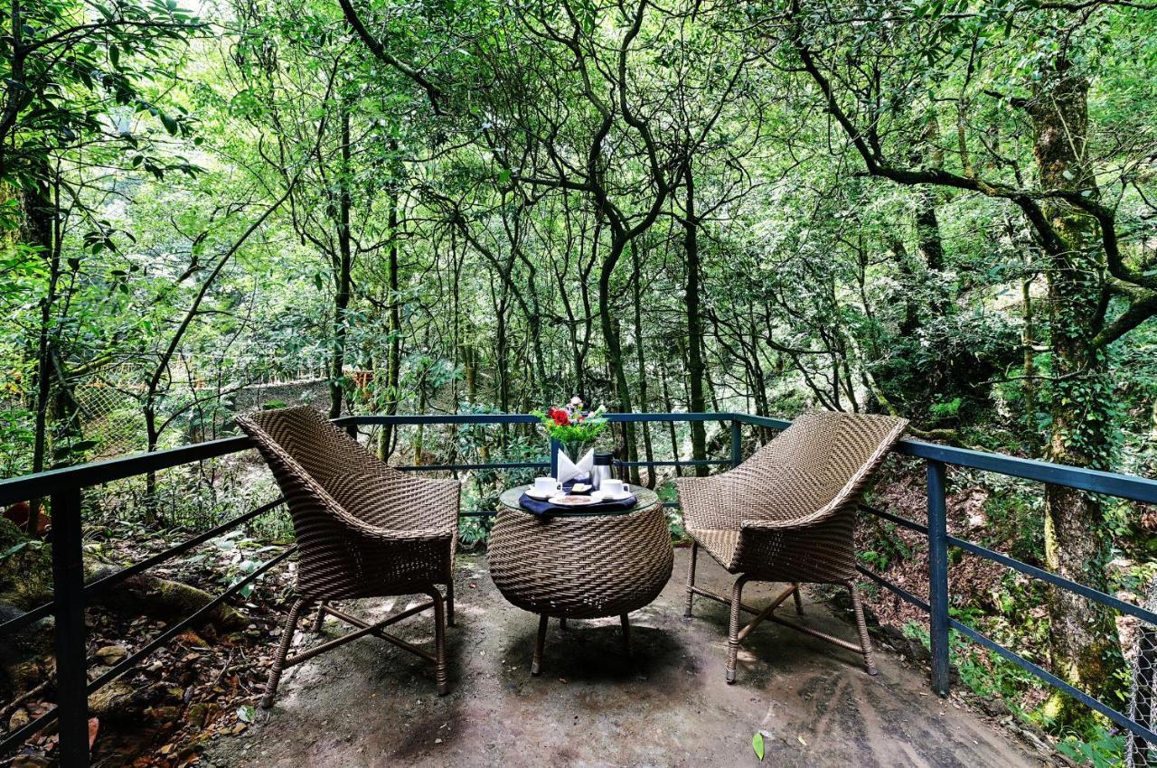 Ayar Jungle Resort Nainital Zewnętrze zdjęcie