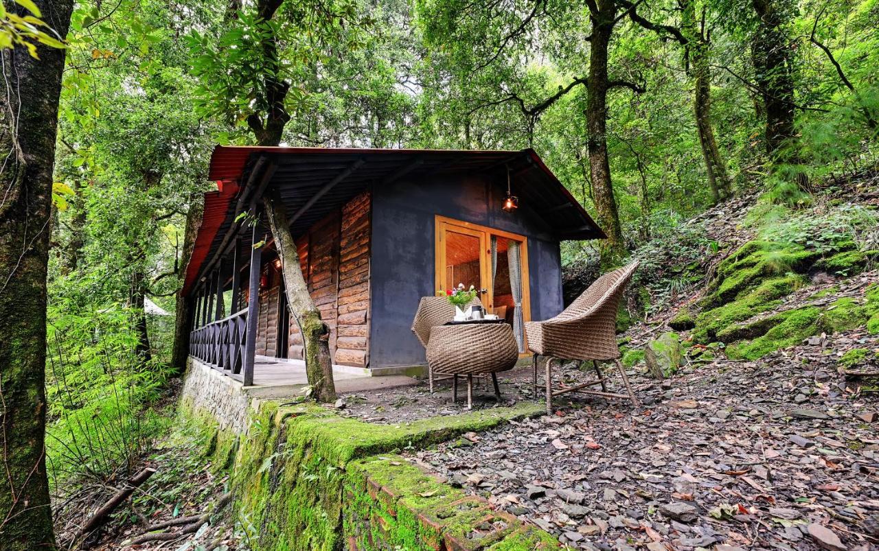 Ayar Jungle Resort Nainital Zewnętrze zdjęcie