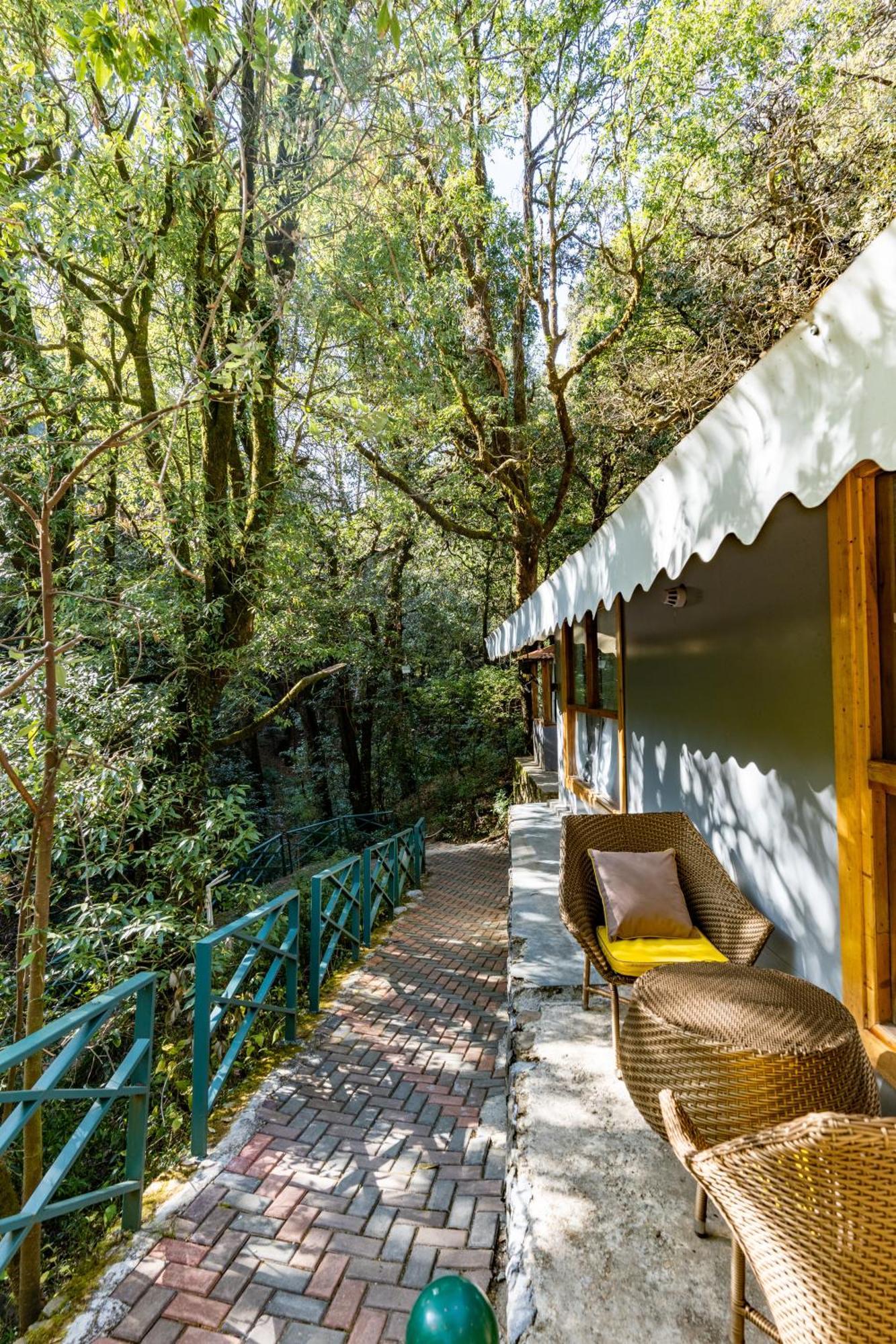 Ayar Jungle Resort Nainital Zewnętrze zdjęcie