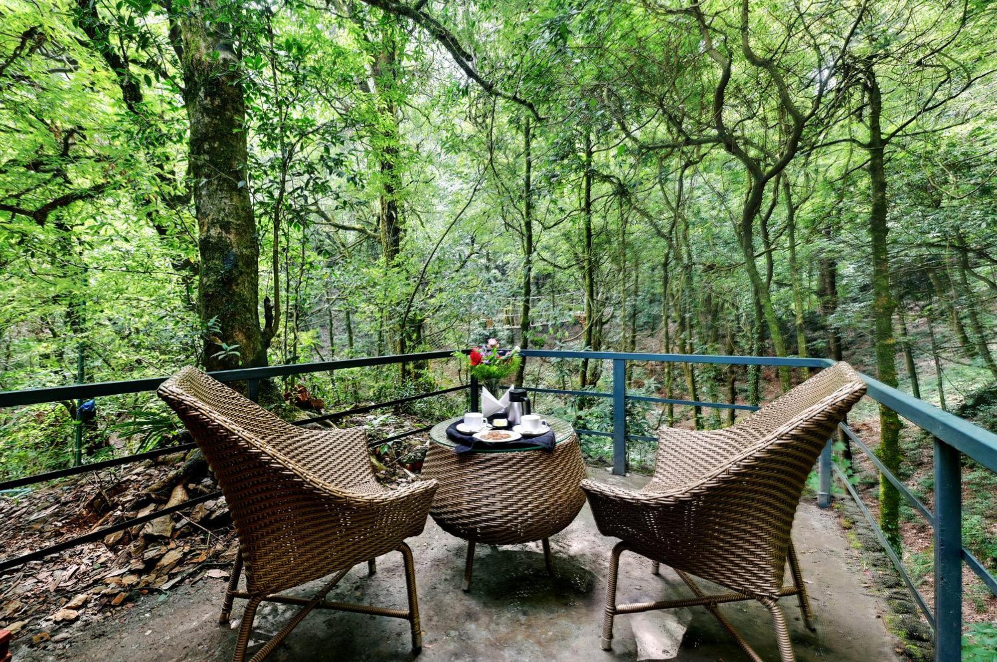 Ayar Jungle Resort Nainital Zewnętrze zdjęcie